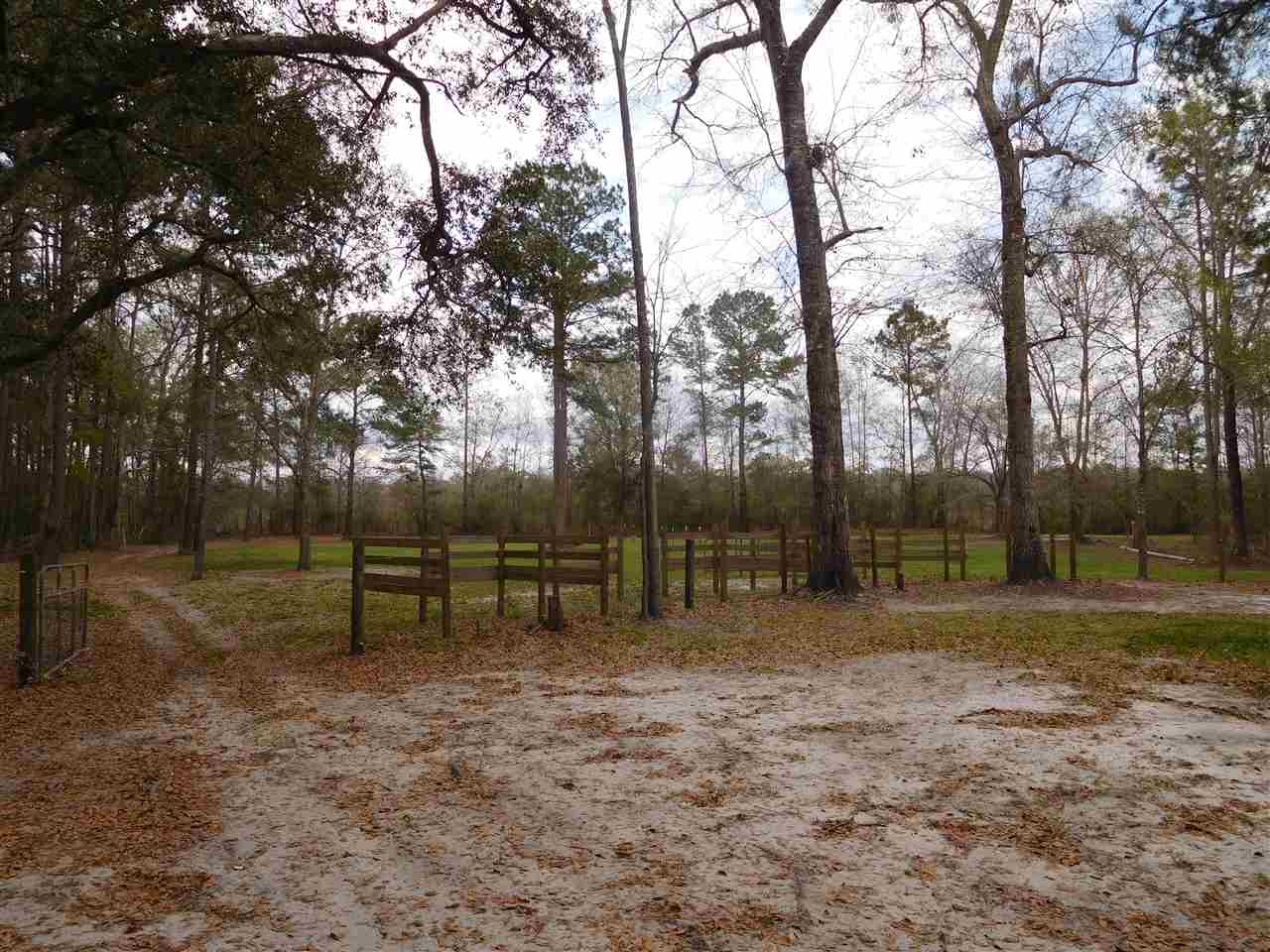 957 7 Bridges Road Monticello, FL 32344 - Photo 1 of 16 Gallery Image 1