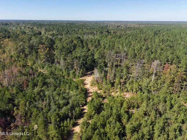 $975,000 | 1750 Hendrix Road, Coffeeville, MS 38922