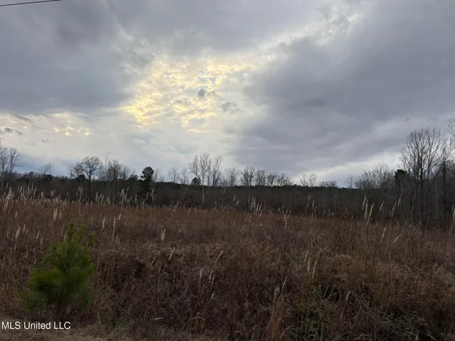 $975,000 | 1750 Hendrix Road, Coffeeville, MS 38922