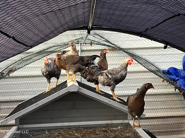 $975,000 | 1750 Hendrix Road, Coffeeville, MS 38922