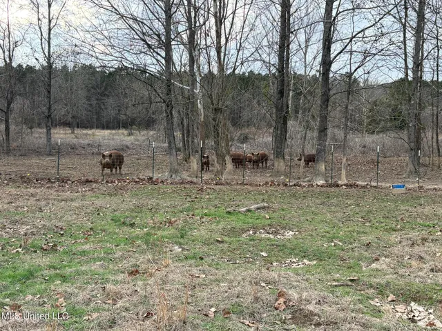 $975,000 | 1750 Hendrix Road, Coffeeville, MS 38922