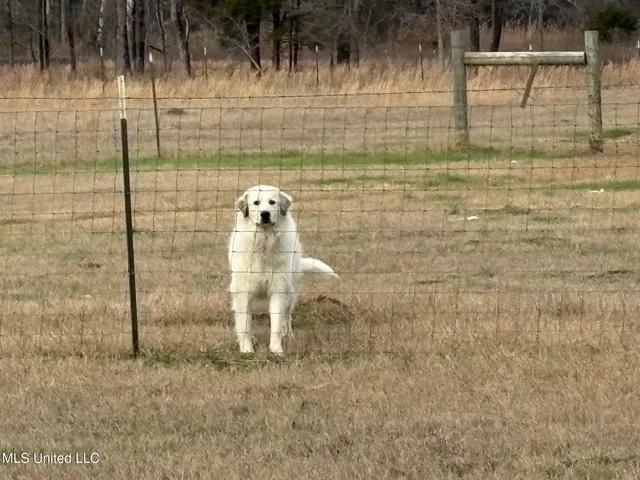 $975,000 | 1750 Hendrix Road, Coffeeville, MS 38922