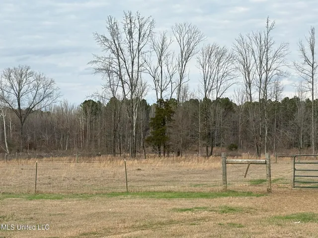 $975,000 | 1750 Hendrix Road, Coffeeville, MS 38922