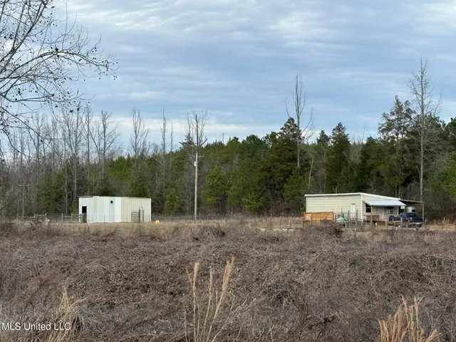 $975,000 | 1750 Hendrix Road, Coffeeville, MS 38922