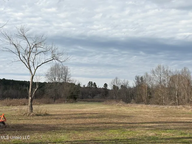 $975,000 | 1750 Hendrix Road, Coffeeville, MS 38922