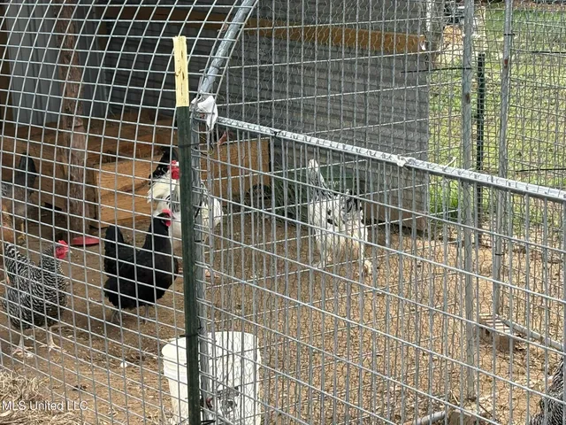 $975,000 | 1750 Hendrix Road, Coffeeville, MS 38922