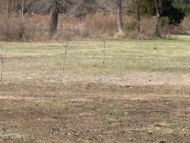 $975,000 | 1750 Hendrix Road, Coffeeville, MS 38922