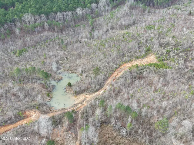 $975,000 | 1750 Hendrix Road, Coffeeville, MS 38922