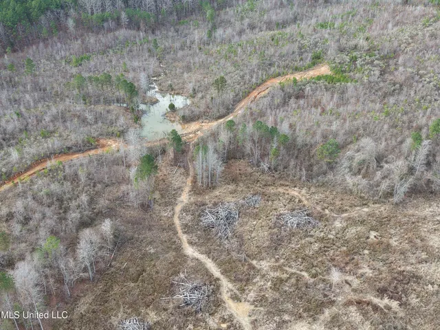 $975,000 | 1750 Hendrix Road, Coffeeville, MS 38922