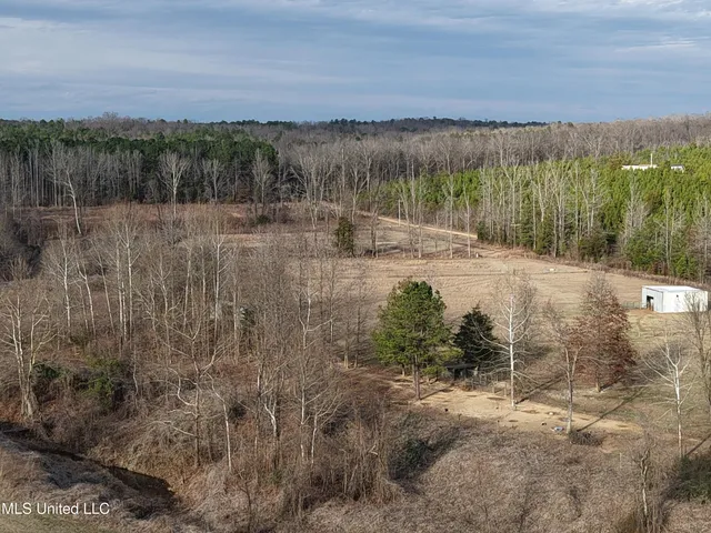 $975,000 | 1750 Hendrix Road, Coffeeville, MS 38922