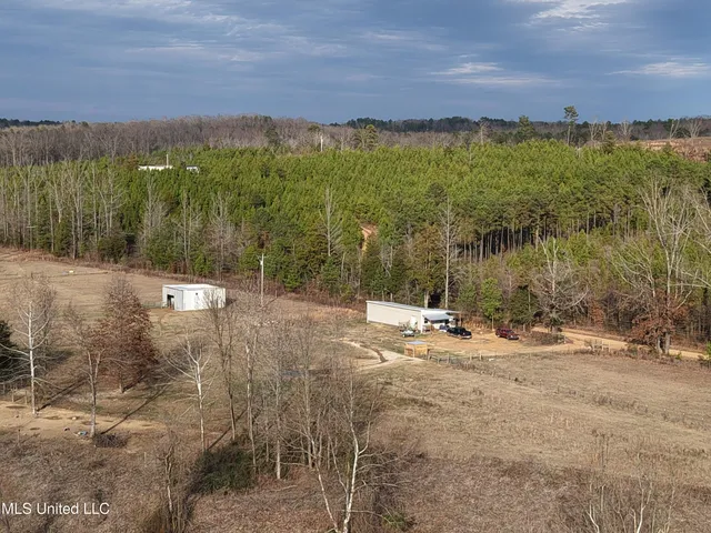 $975,000 | 1750 Hendrix Road, Coffeeville, MS 38922