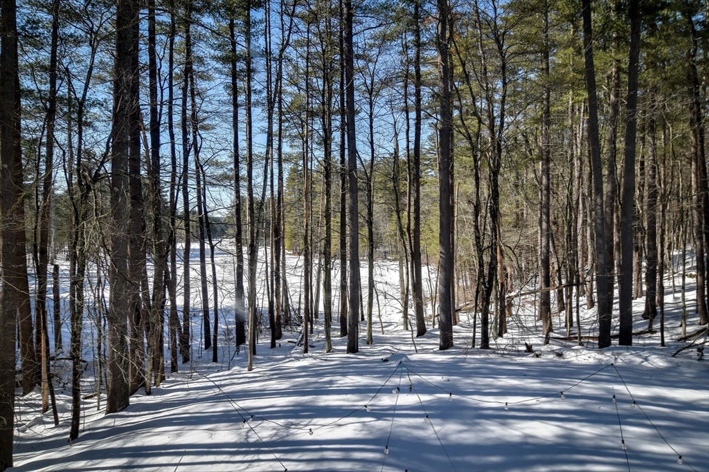 555 Old Harvard Road Boxborough, MA 01719 - Photo 33 of 40