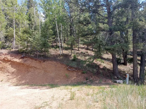 $53,000 | 138 Glenwood Lane, Woodland Park, CO 80863