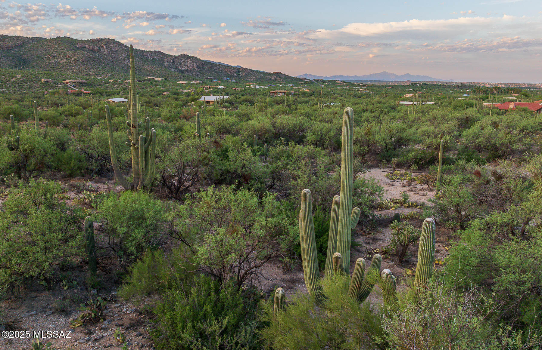 12550 East Horsehead Road Tucson, AZ 85749 - Photo 26 of 29