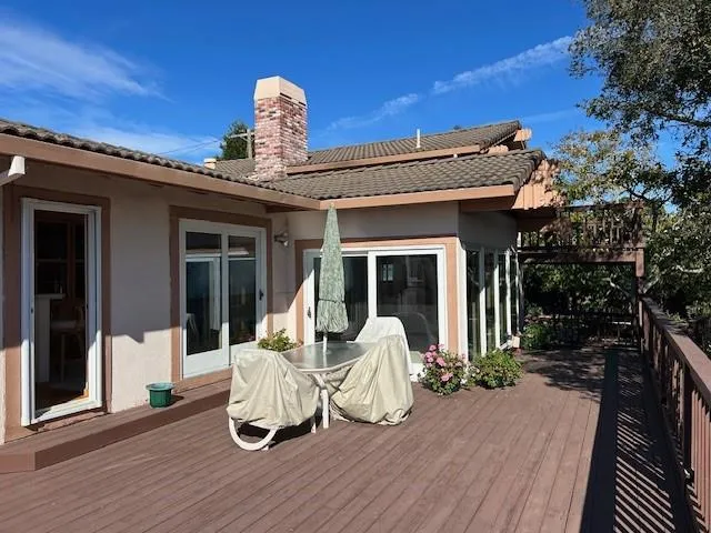 a view of a park with large trees