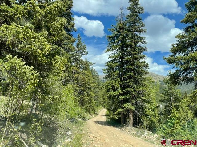 766 Rd Pitkin Co 81241 Road Ohio City, CO 81237 - Photo 14 of 18