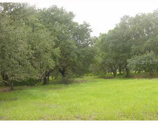 a view of yard with green space
