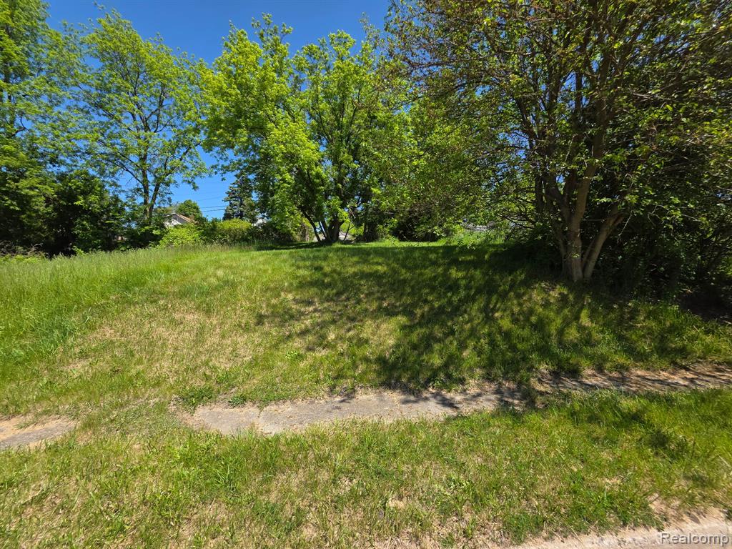 0 Merrimac Street Pontiac, MI 48340 - Photo 3 of 5