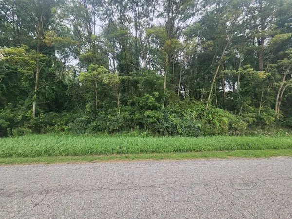 $30,000 | Kerry Road, Manistee, MI 49660
