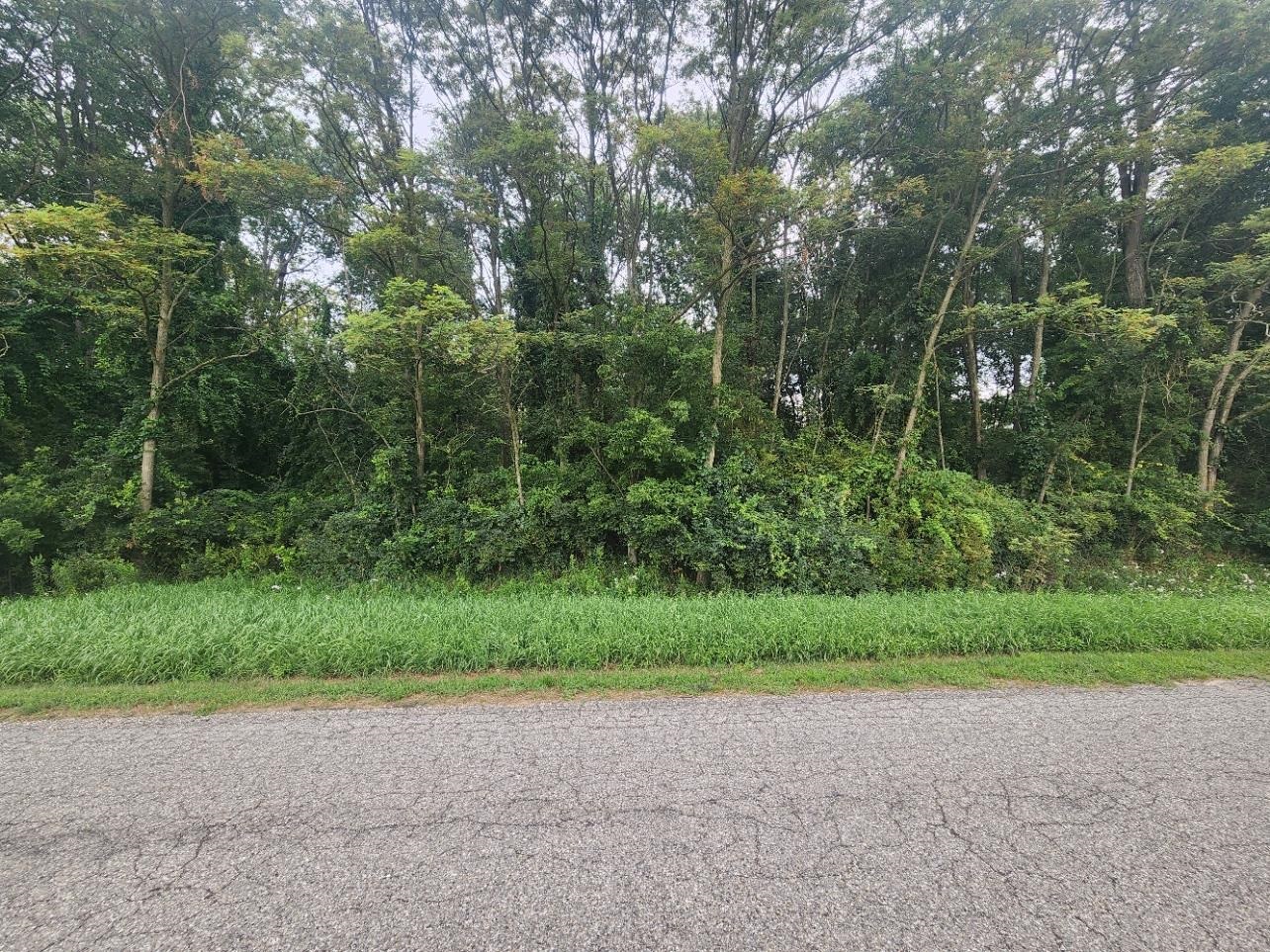 Kerry Road Manistee, MI 49660 - Photo 1 of 5 1949097-64cc4135-9afd-4546-b280-689cab31aacb.JPG