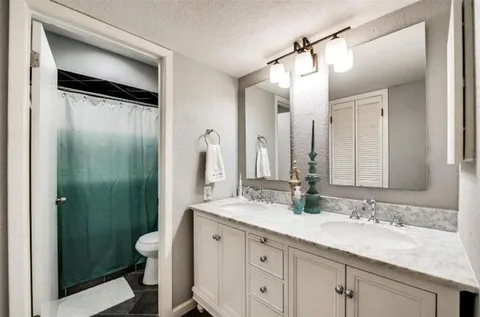 a bathroom with a granite countertop sink a toilet and a mirror