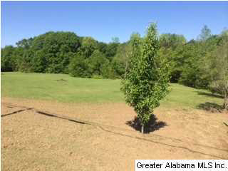 2008 Tabor Road Gadsden, AL 35904 - Photo 20 of 21