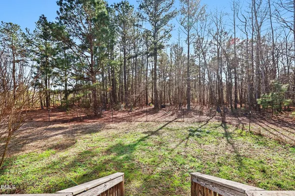 a view of a yard with large trees