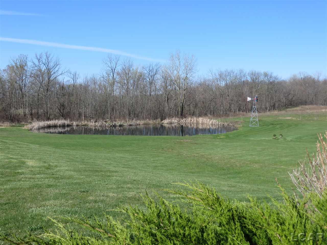 7707 Reed Road Onsted, MI 49265 - Photo 12 of 21 Stocked Fish Pond