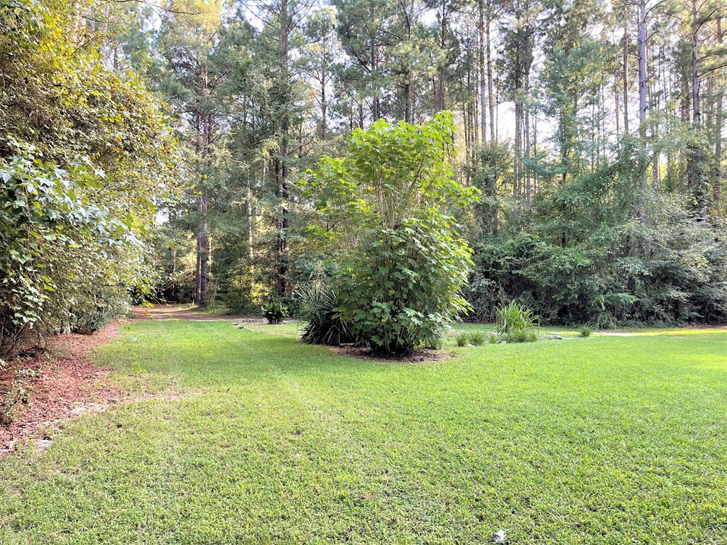 6990 Gilligan Road Sumter, SC 29154 - Photo 5 of 41