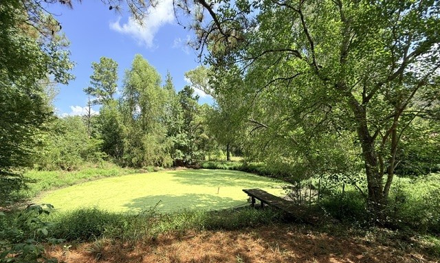 58 Roy Webb Road Huntsville, TX 77320 - Photo 21 of 31 The property has a pond with a pier.