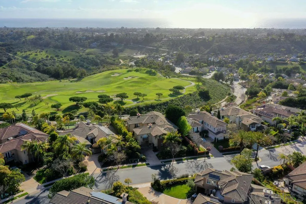 1375 Ravean Court Encinitas, CA 92024 - Photo 65 of 73 an aerial view of residential houses with outdoor space and trees