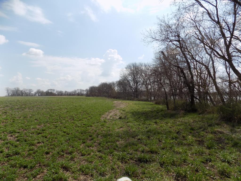 801 140th Street Sherburn, MN 56171 - Photo 12 of 32