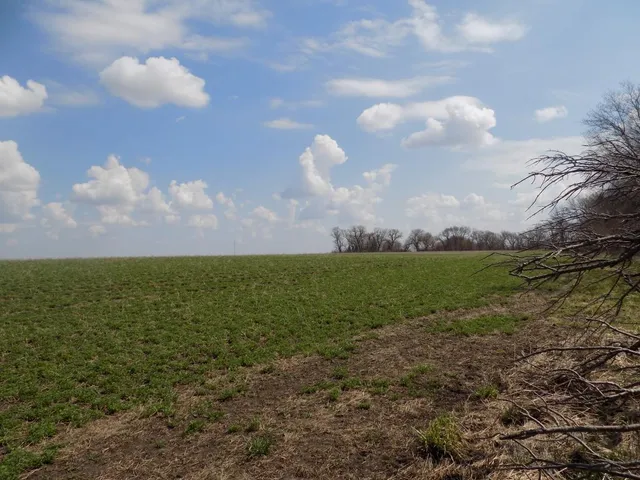 $895,000 | 801 140th Street, Sherburn, MN 56171