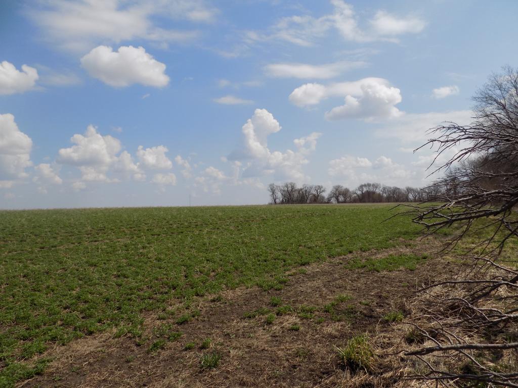 801 140th Street Sherburn, MN 56171 - Photo 15 of 32