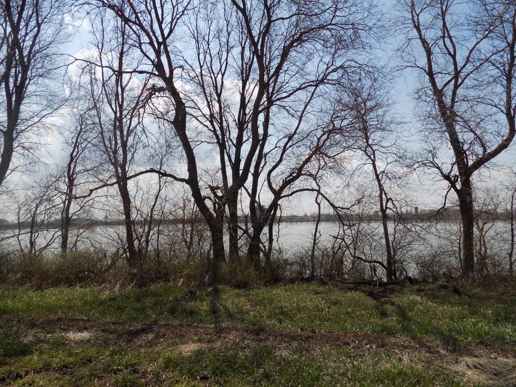 801 140th Street Sherburn, MN 56171 - Photo 17 of 32