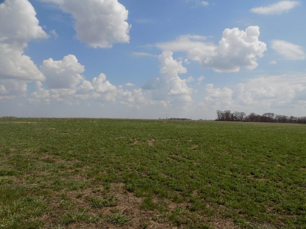 801 140th Street Sherburn, MN 56171 - Photo 18 of 32