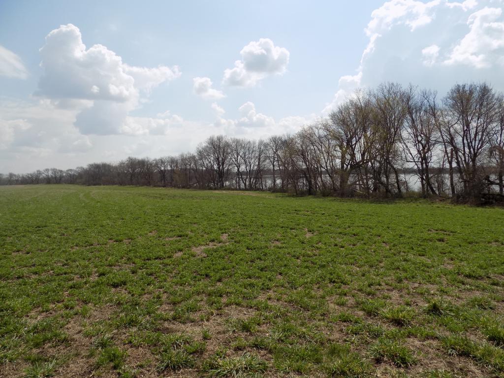 801 140th Street Sherburn, MN 56171 - Photo 19 of 32