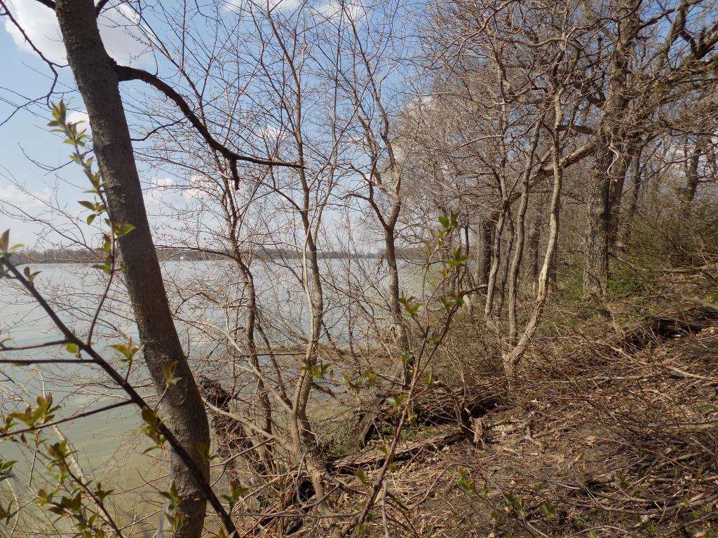 801 140th Street Sherburn, MN 56171 - Photo 22 of 32