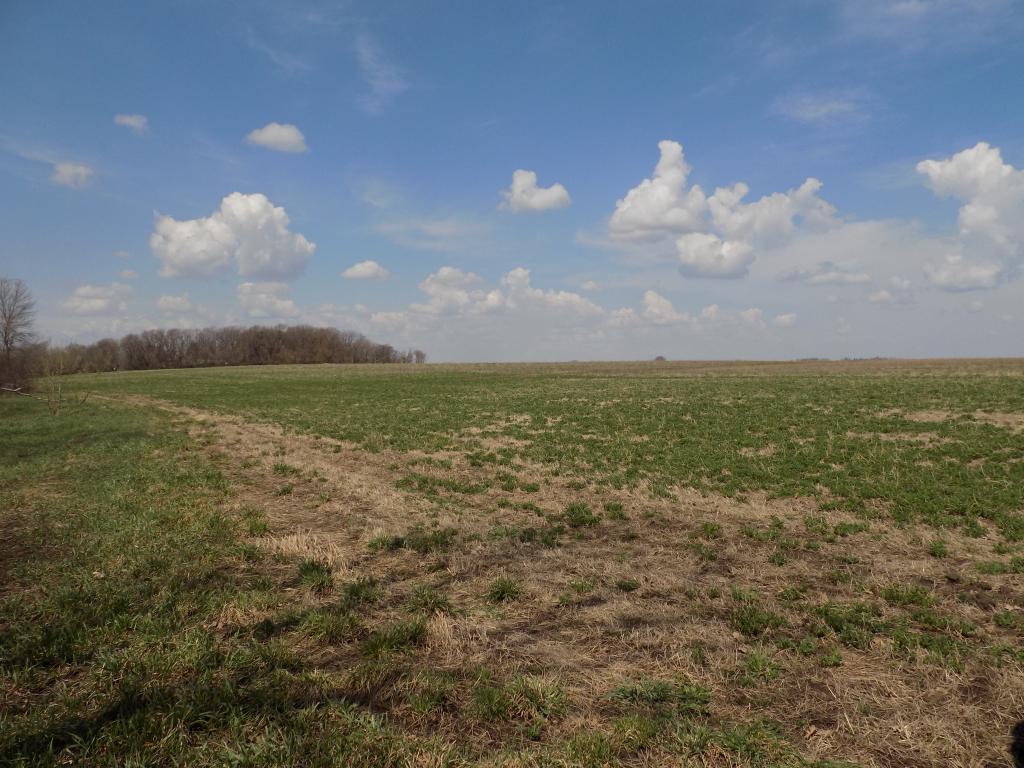 801 140th Street Sherburn, MN 56171 - Photo 24 of 32