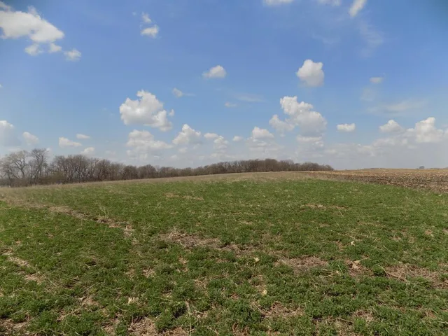 $895,000 | 801 140th Street, Sherburn, MN 56171