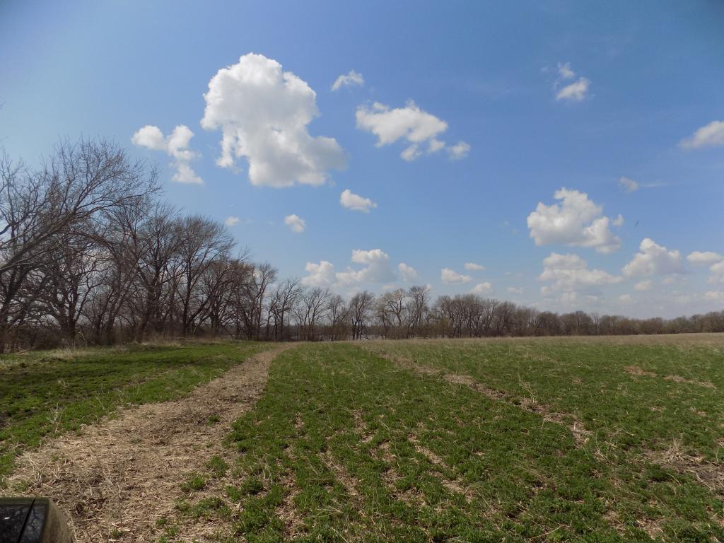801 140th Street Sherburn, MN 56171 - Photo 28 of 32