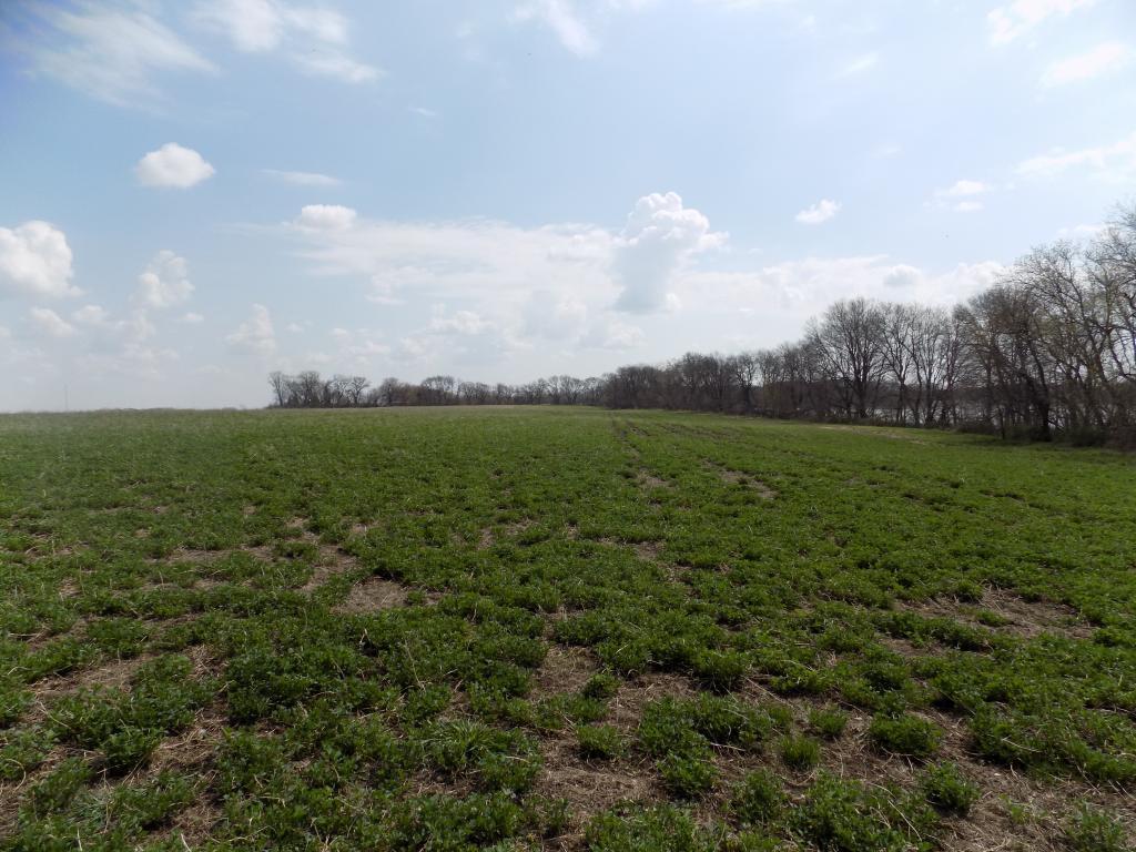 801 140th Street Sherburn, MN 56171 - Photo 10 of 32