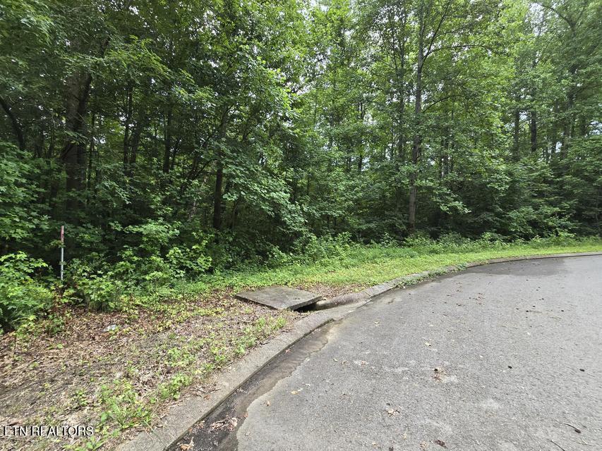 133 Lot Road Dunlap, TN 37327 - Photo 2 of 4 2