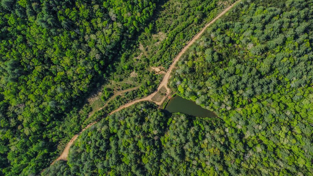 40-ac #1 40-ac Road Mineral Bluff, GA 30559 - Photo 17 of 35 Gallery Image 17