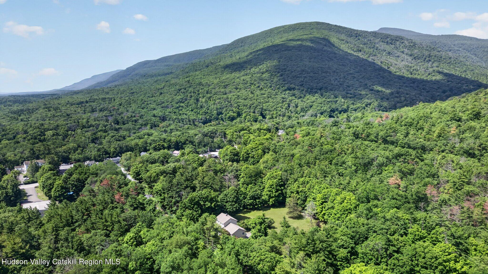 57 Bogart Road Palenville, NY 12463 - Photo 2 of 35 Catskill Mountains
