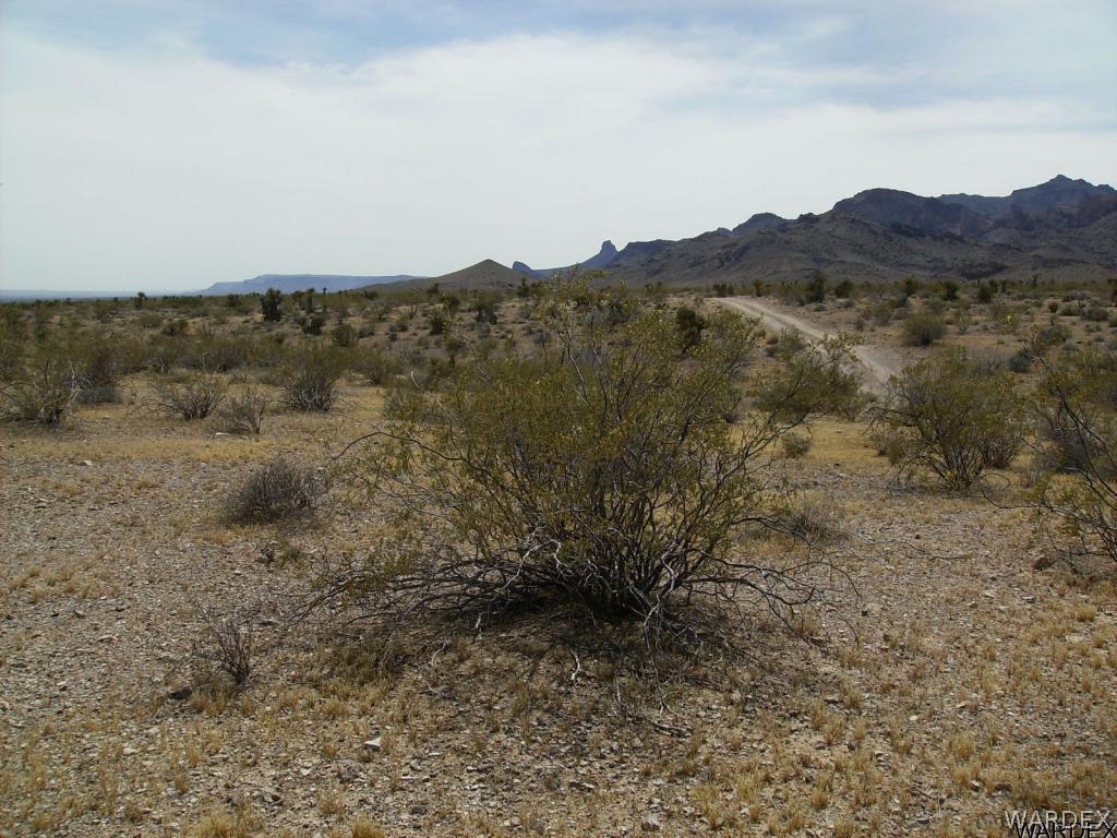 3416 Keystone Road Golden Valley, AZ 86413 - Photo 11 of 14 a view of a large mountain range with trees in the background
