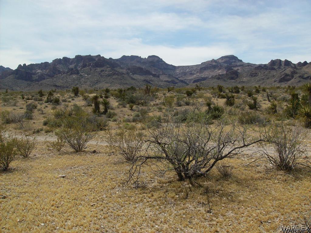 3416 Keystone Road Golden Valley, AZ 86413 - Photo 4 of 14 a view of mountains in middle of the green field