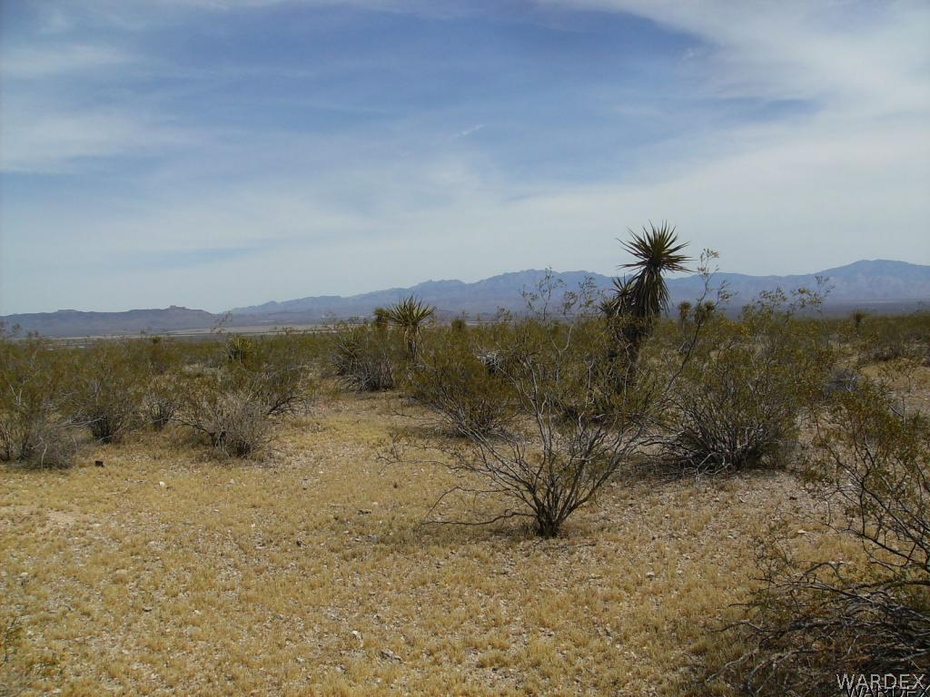 3416 Keystone Road Golden Valley, AZ 86413 - Photo 10 of 14 a view of a dry yard with mountain