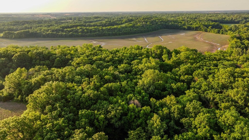 D218 County Road Armstrong, MO 65230 - Photo 13 of 73 Gallery Image 13
