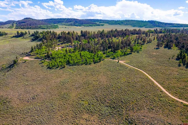 a view of dirt yard with a large tree